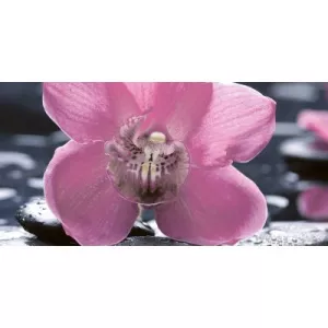Декор Нефрит-Керамика Орхидея черный (цветы) 25х50 см
